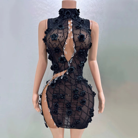 Tisha Mesh Dress
